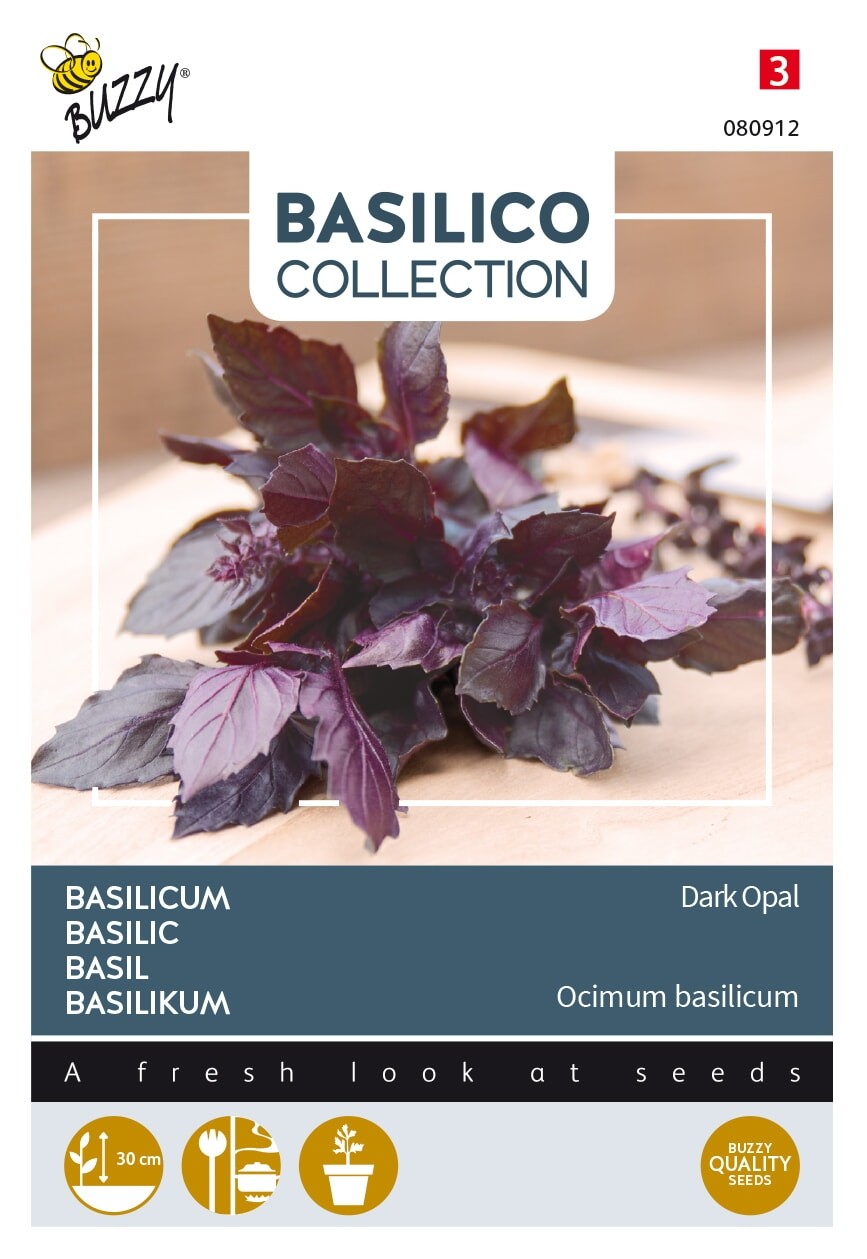 Basilicum 'Dark Opal'
