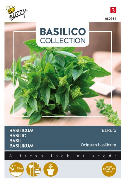 Basilicum 'Bascuro'