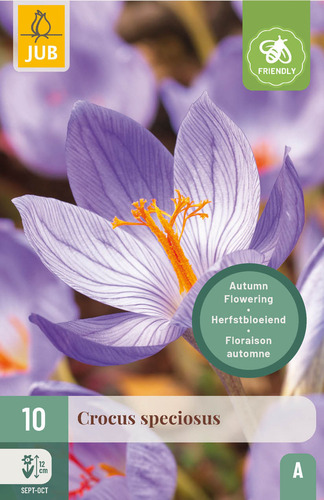 Bloembol verpakking met paars gestreepte crocus bloemen en een bij-vriendelijk icoon.