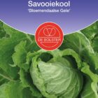 Savooiekool 'Bloemendaalse Gele'-0