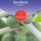 Spruitkool 'Irene F1'-0