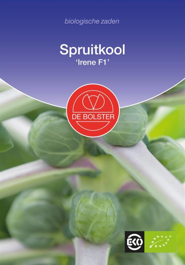 Spruitkool 'Irene F1'-0