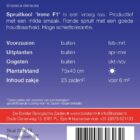 Spruitkool 'Irene F1'-8999