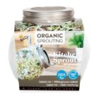 Salade Mix - Kweekset in glazen pot BIO-0