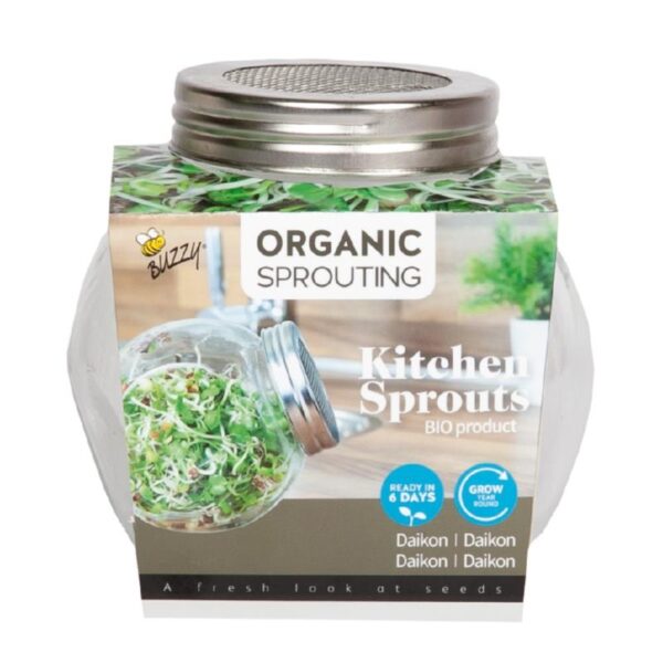 Daikon - Kweekset in glazen pot BIO-0