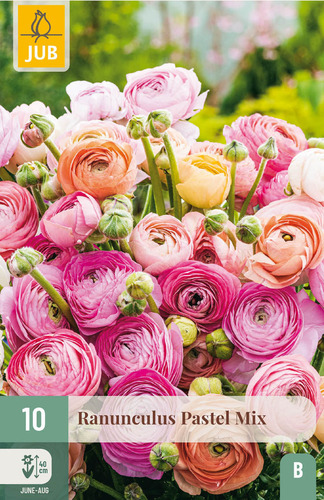 Bloembol verpakking met een mix van verschillende kleuren ranonkel bloemen.