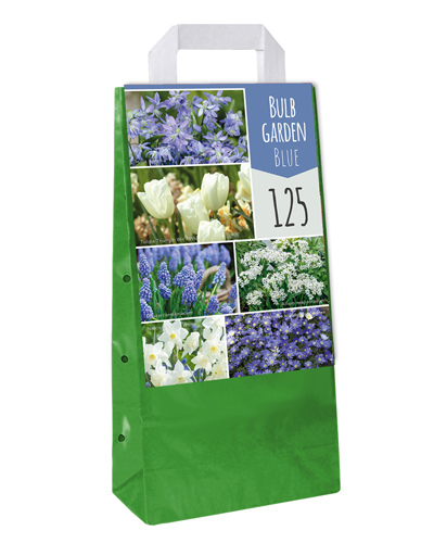 Een tas met 125 bloembollen in de kleuren blauw en wit.