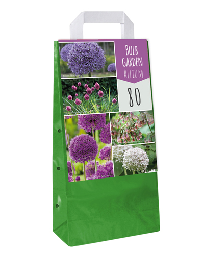 Een tas met 80 Allium bloembollen in verschillende kleuren en soorten.