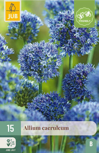 Bloembol verpakking met een paarsblauwe Allium caeruleum bloem en een bij-vriendelijk icoon.