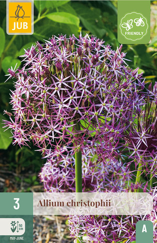 Bloembol verpakking met een paarse Allium christophii bloem en een bij-vriendelijk icoon.
