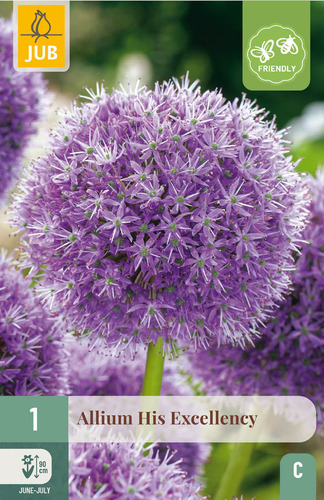 Bloembol verpakking met een paarse Allium 'His Excellency' bloem en een bij-vriendelijk icoon.