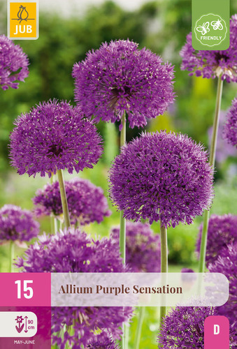 Bloembol verpakking met een paarse Allium 'Purple Sensation' bloem en een bij-vriendelijk icoon.