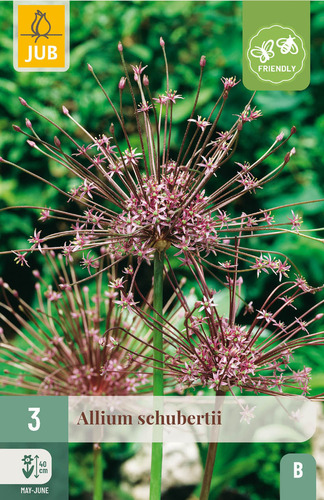 Bloembol verpakking met een paarsrode Allium schubertii bloem en een bij-vriendelijk icoon.