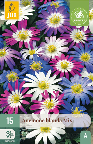 Bloembol verpakking met een blauwe, witte en roze anemone bloemen en een bij-vriendelijk icoon.