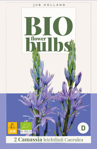 Bloembol verpakking met een paarse camassia of prairielelie bloem met het gecertificeerd EU biologische keurmerk label.