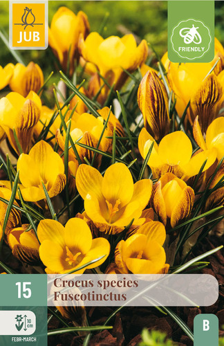 Bloembol verpakking met een gele crocus bloemen en een bij-vriendelijk icoon.