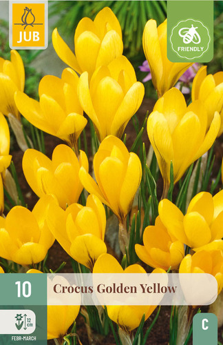 Bloembol verpakking met een gele crocus bloemen en een bij-vriendelijk icoon.