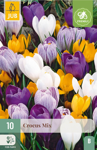 Bloembol verpakking met gemengde kleuren grootbloemige crocus bloemen en een bij-vriendelijk icoon.
