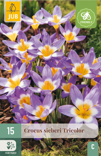 Bloembol verpakking met 3-kleuren crocus bloemen en een bij-vriendelijk icoon.