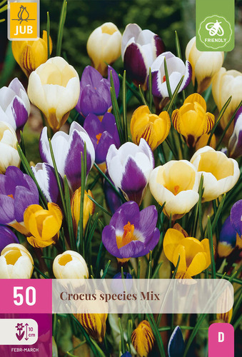 Bloembol verpakking met verschillende kleuren crocus bloemen en een bij-vriendelijk icoon.