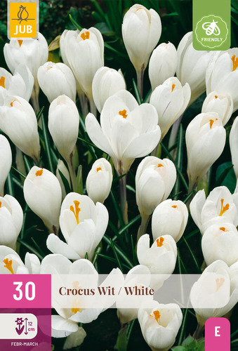 Bloembol verpakking met witte crocus bloemen en een bij-vriendelijk icoon.