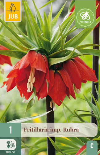 Bloembol verpakking met een rode fritillaria bloem en een bij-vriendelijk icoon.