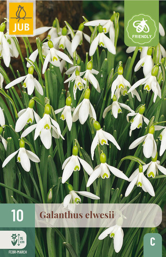 Bloembol verpakking met witte galanthus bloemen en een bij-vriendelijk icoon.