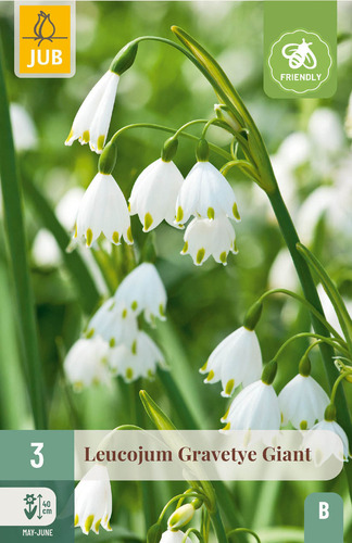 Bloembol verpakking met witte leucojum of zomerklokjes bloemen en een bij-vriendelijk icoon.
