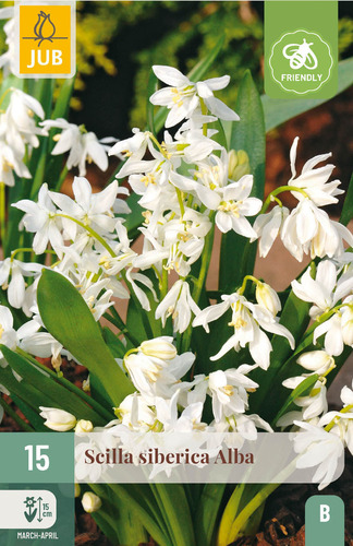 Bloembol verpakking met witte boshyacint bloemen en een bij-vriendelijk icoon.