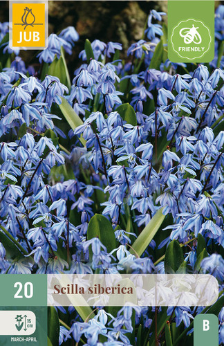 Bloembol verpakking met blauwe boshyacint bloemen en een bij-vriendelijk icoon.