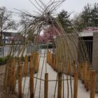 Wilgentenen