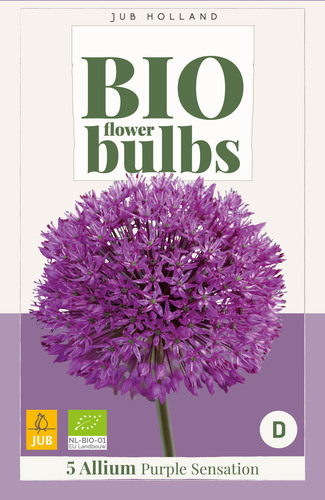 Bloembol verpakking met een paarse Allium 'Purple Sensation' bloem met het gecertificeerd EU biologische keurmerk label.