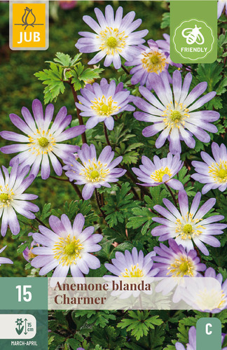 Bloembol verpakking met wit-lila anemone bloemen en een bij-vriendelijk icoon.